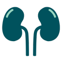 Ícone Doença Renal Crônica DRC